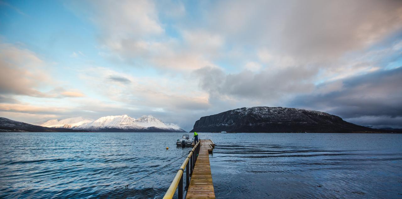 Arctic Panorama Lodge Uløybukta Εξωτερικό φωτογραφία